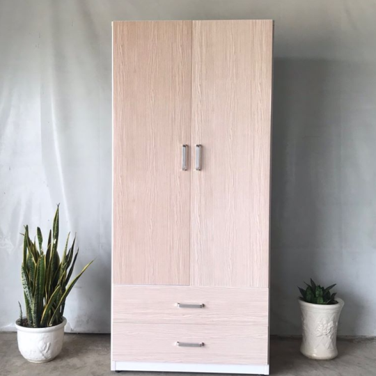 Tủ quần áo nhựa 2 cánh